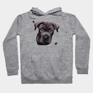 Cute Cane Corso Drawing Hoodie